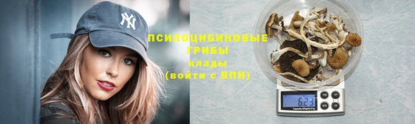 ГАЛЛЮЦИНОГЕННЫЕ ГРИБЫ Зерноград