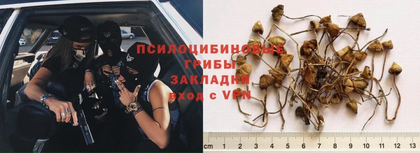 ГАЛЛЮЦИНОГЕННЫЕ ГРИБЫ Зерноград